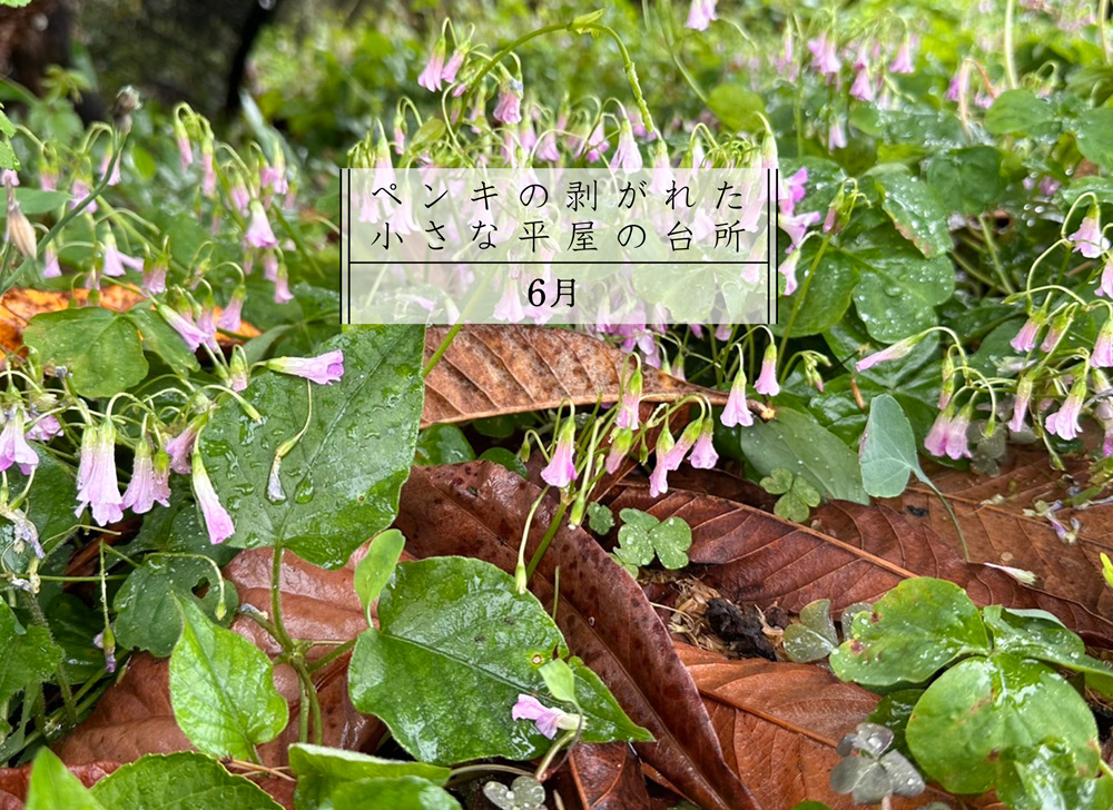 花泥棒が作る麹入り梅シロップ