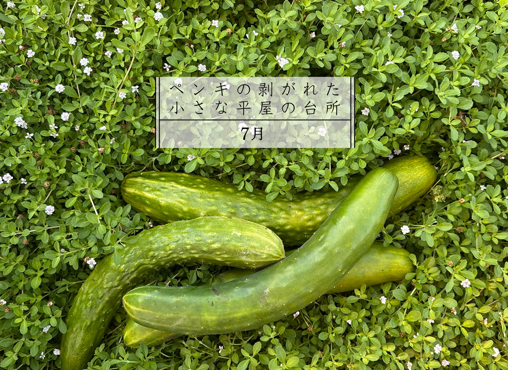 夏をのり切るコツかもね